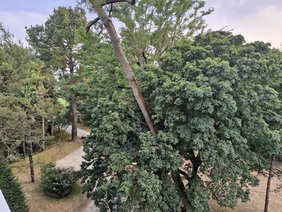 Appartements à La Baule