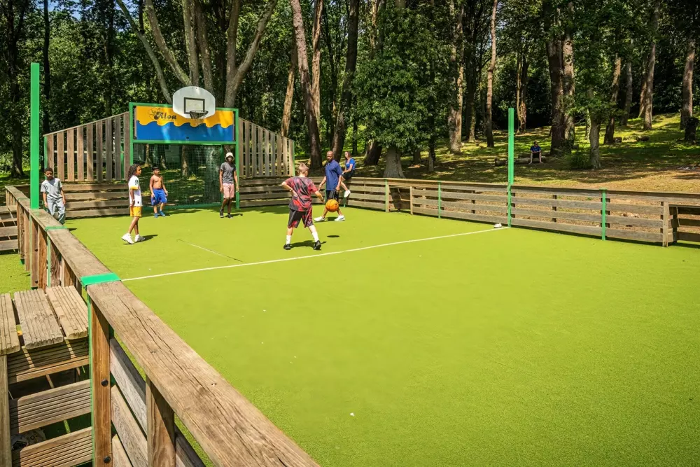 Camping Les Ajoncs d'Or 41 étoiles★