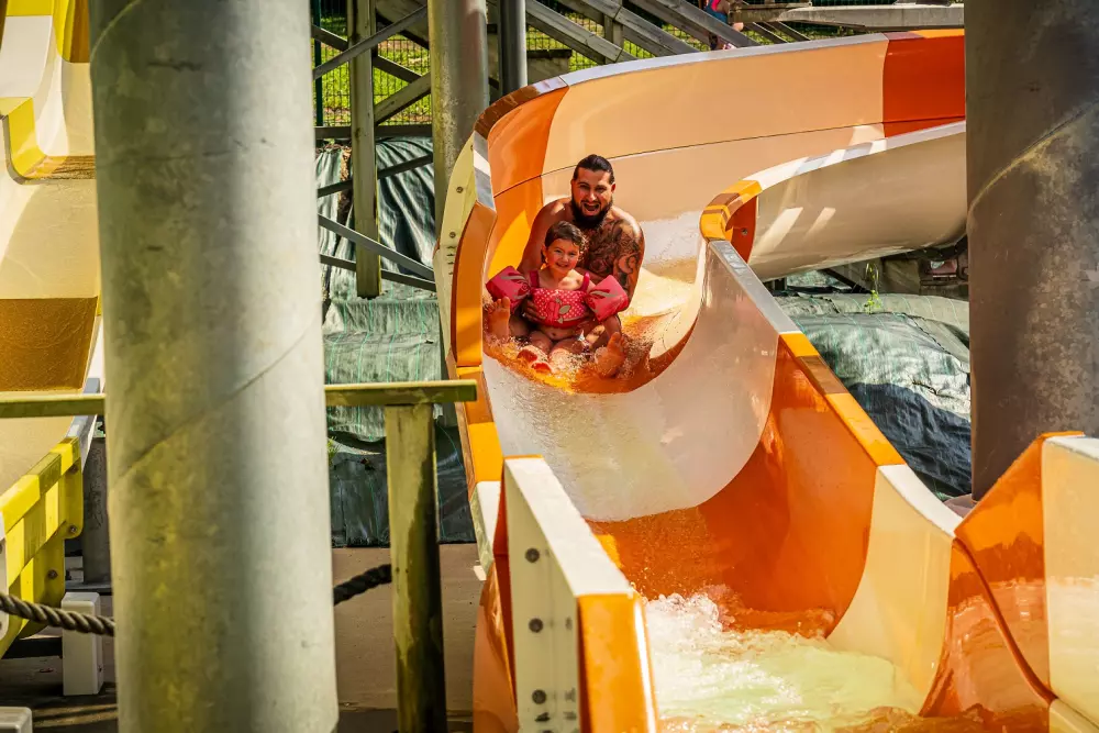 Camping Les Ajoncs d'Or 41 étoiles★