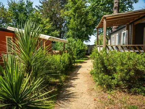 Camping Les Ajoncs D'Or 4 étoiles★★★★