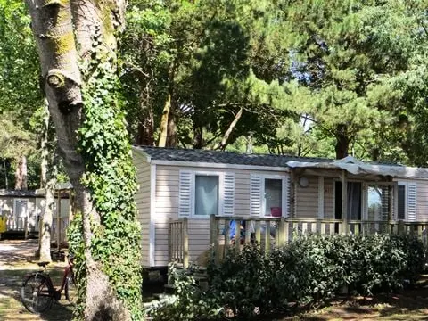 Camping Les Ajoncs D'Or 4 étoiles★★★★