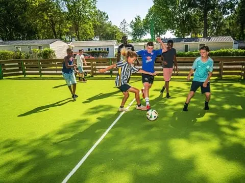 Camping Les Ajoncs D'Or 4 étoiles★★★★