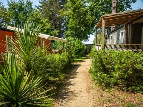 Camping Les Ajoncs D'Or 4 étoiles★★★★