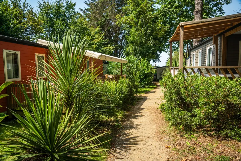 Camping Les Ajoncs d'Or 4 étoiles★★★★