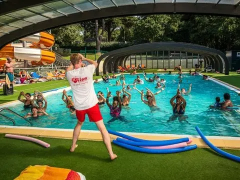 Camping Les Ajoncs D'Or 4 étoiles★★★★