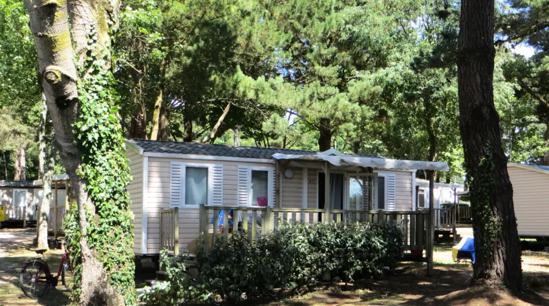 Camping Les Ajoncs d'Or 4 étoiles★★★★