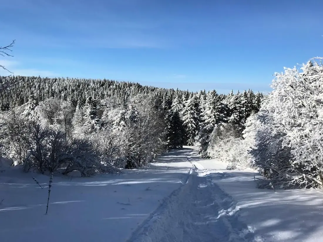 Location de Vacances La Bourboule 86