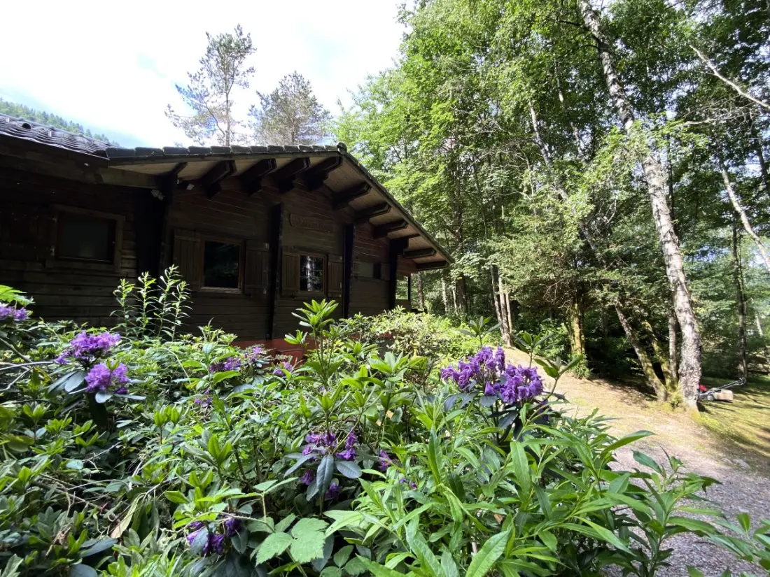 Chalets à La Bresse