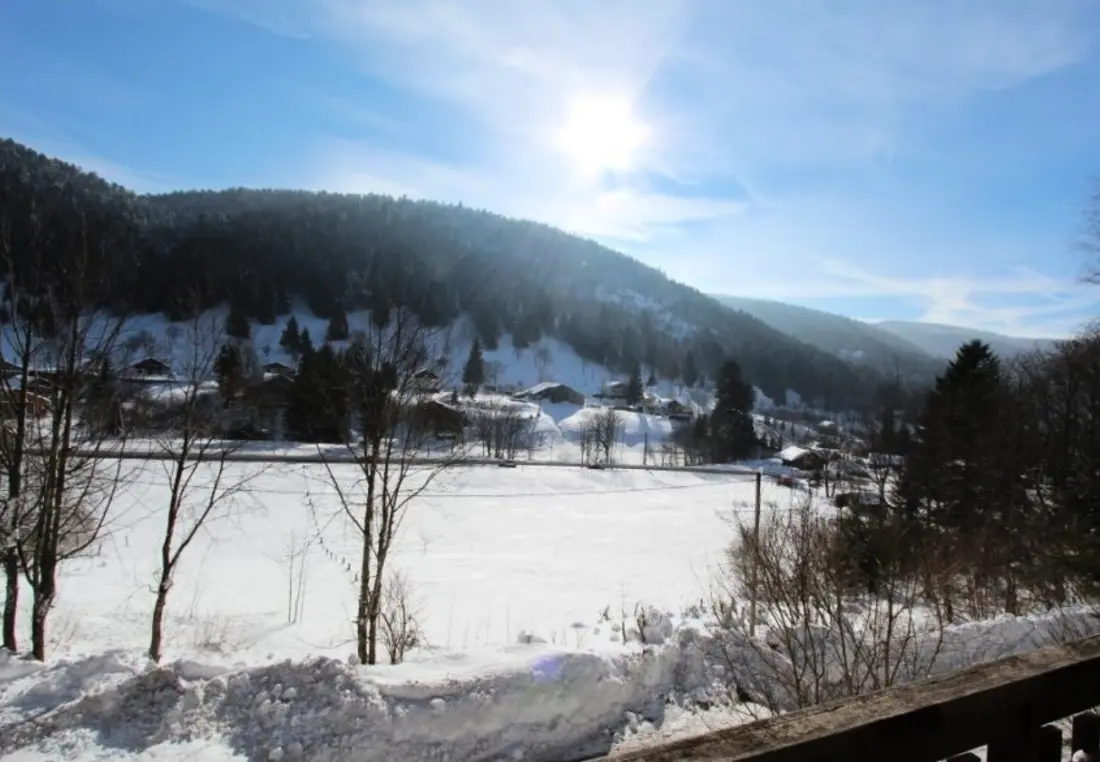 Chalets à La Bresse