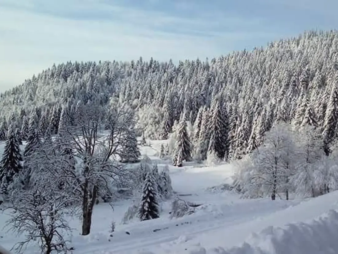 Maison de Vacances La Bresse 15