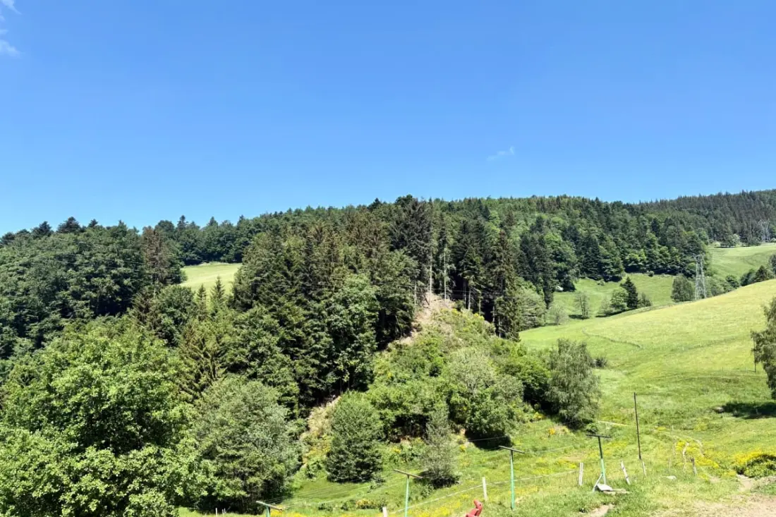 Maison En Lisière De Forêt à La Claquette