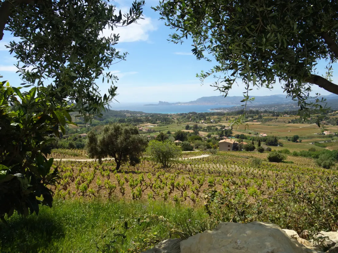 Maison de Vacances La Cadière d'Azur
