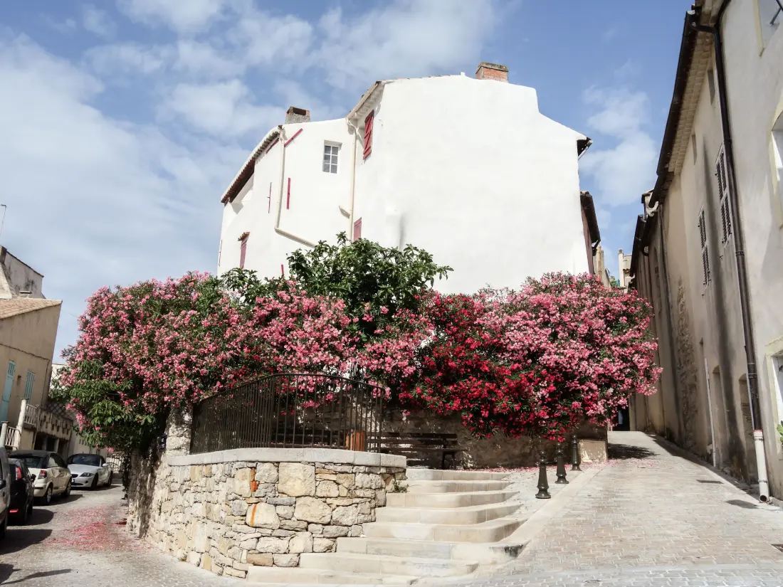 Maison de Vacances La Cadière d'Azur
