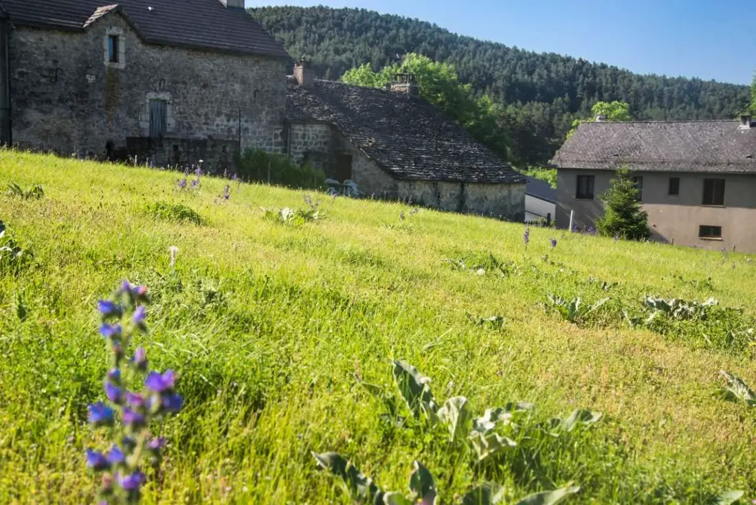 Gîte de France Gîte la bergerie au domal 3 épis