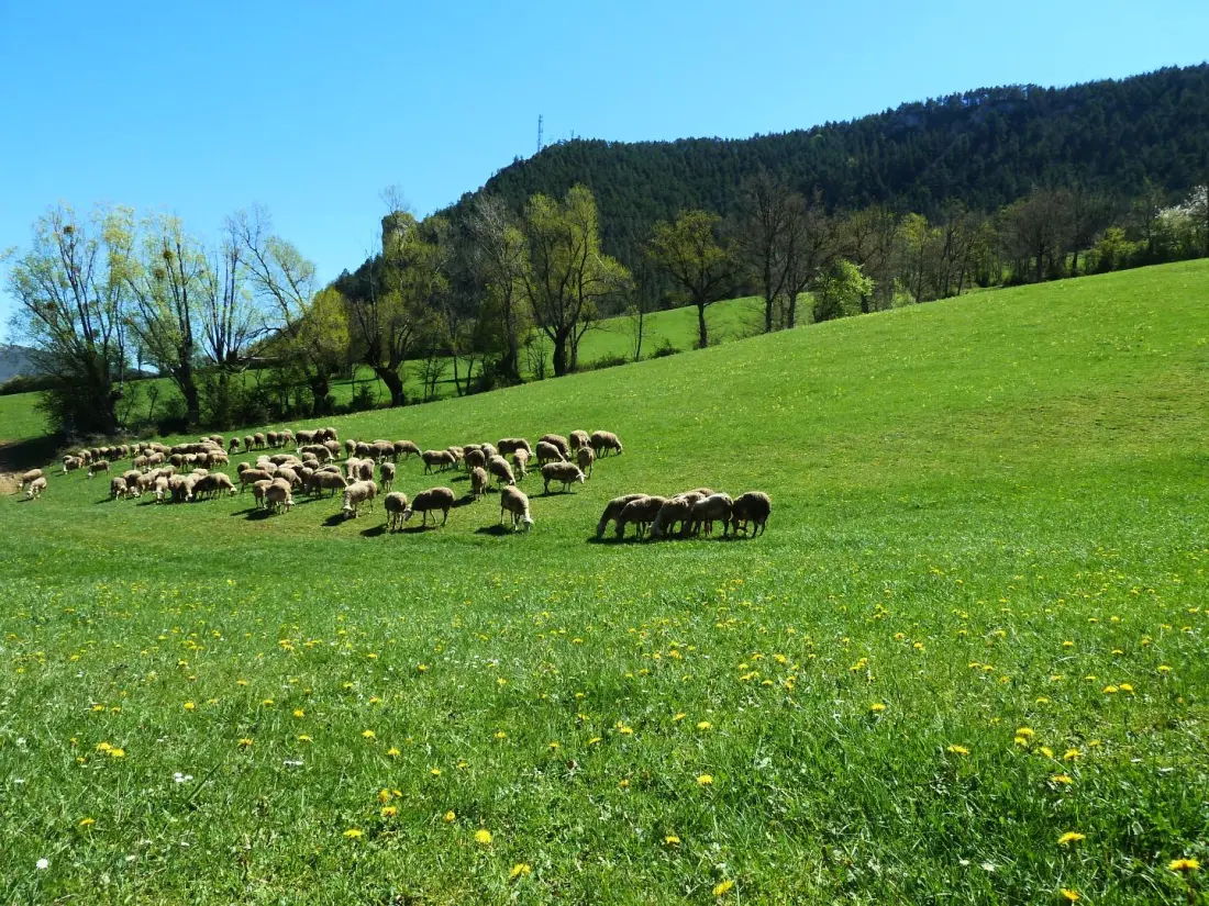 Gîte de France Gîte "la nature" 4 épis