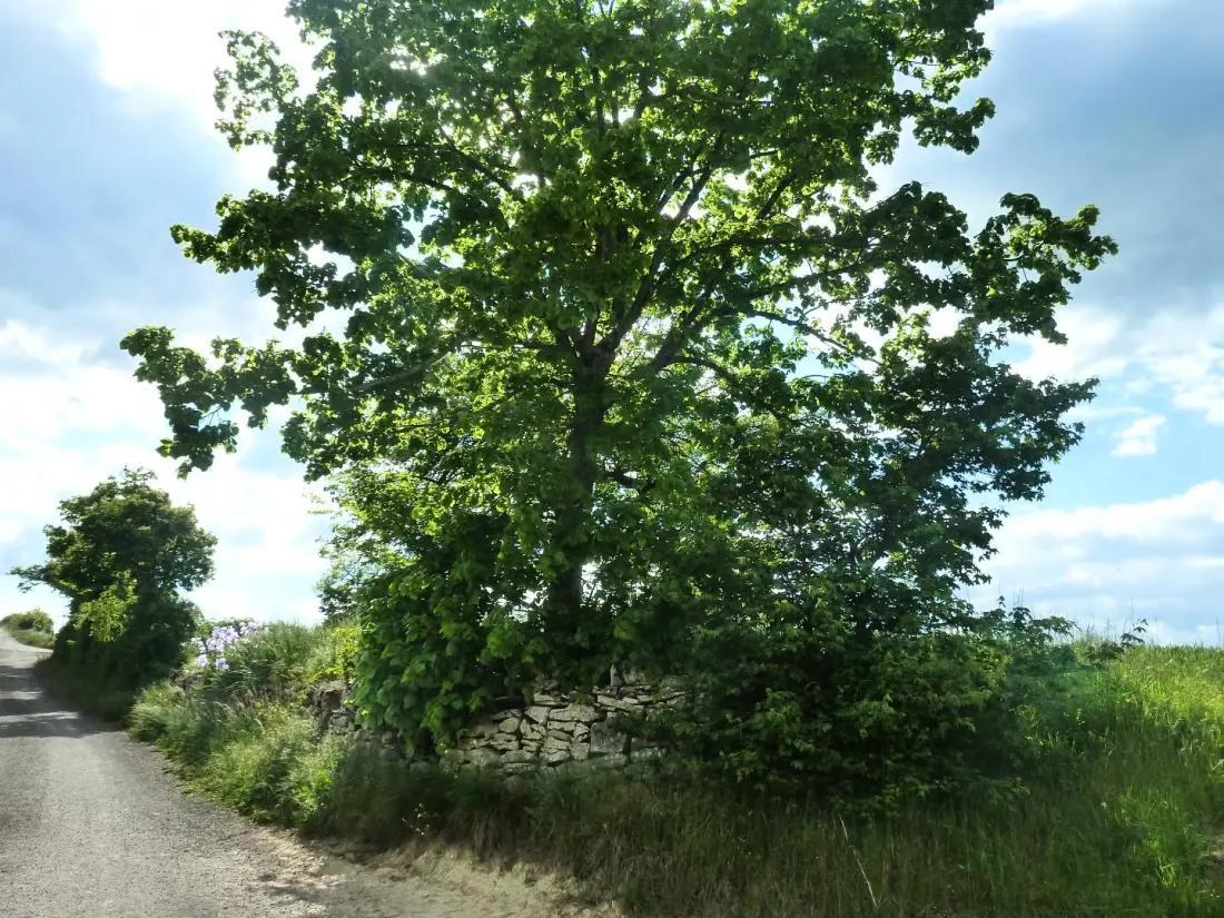 Gîte de France Gîte "la nature" 4 épis