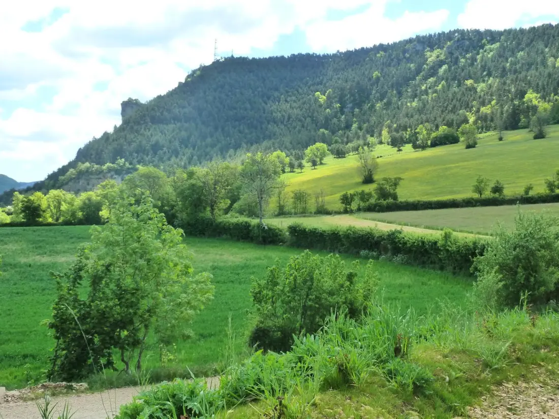 Gîte de France Gîte "la nature" 4 épis