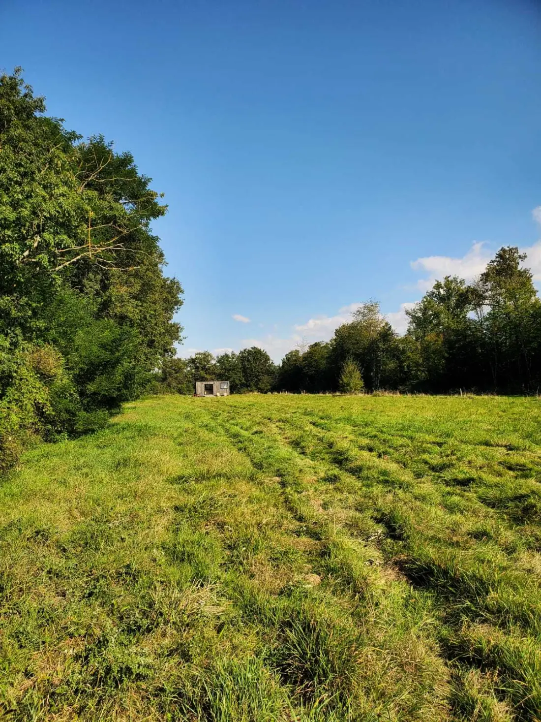 Jardin de Ruban - Parcel Tiny House