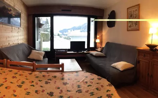 Appartement à la Clusaz vue montagne