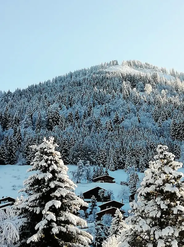 Appartement 3★ Avec Terrasse Au Pied Des Pistes