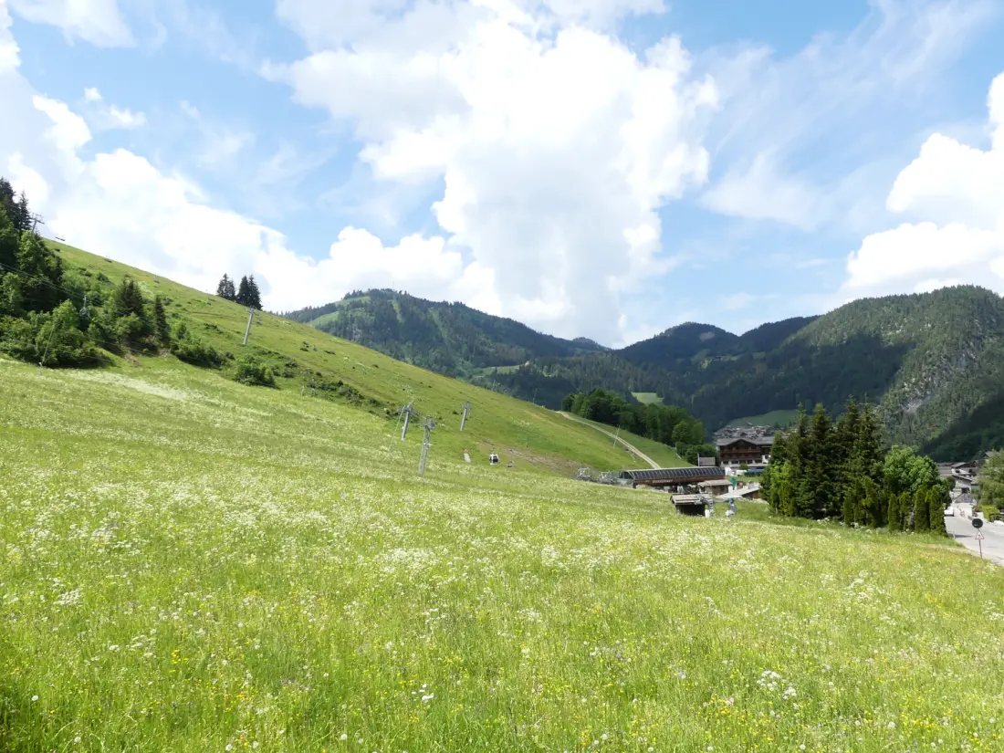 Chalets à La Clusaz