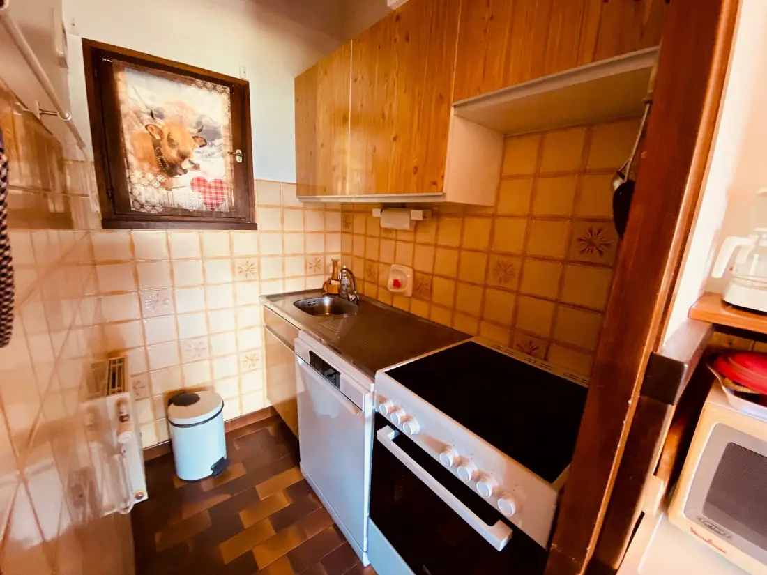 Location de Vacances La Clusaz 288