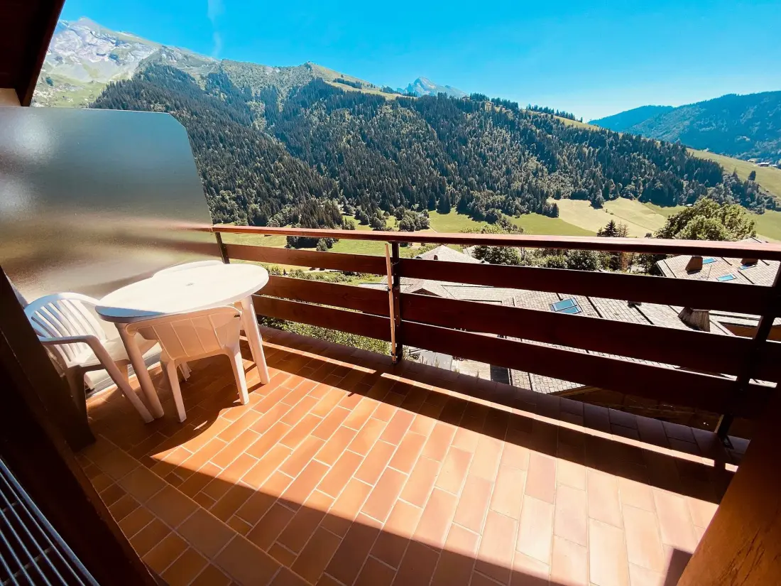 Location de Vacances La Clusaz 288