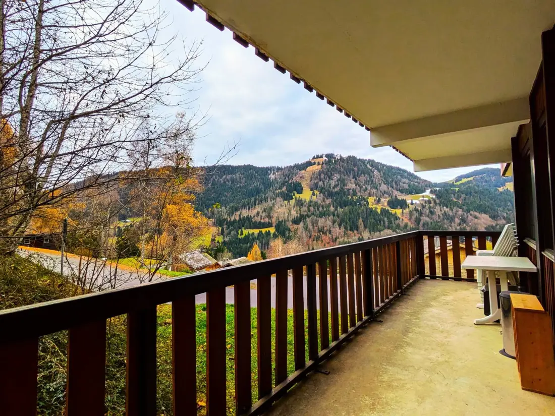 Location de Vacances La Clusaz 354