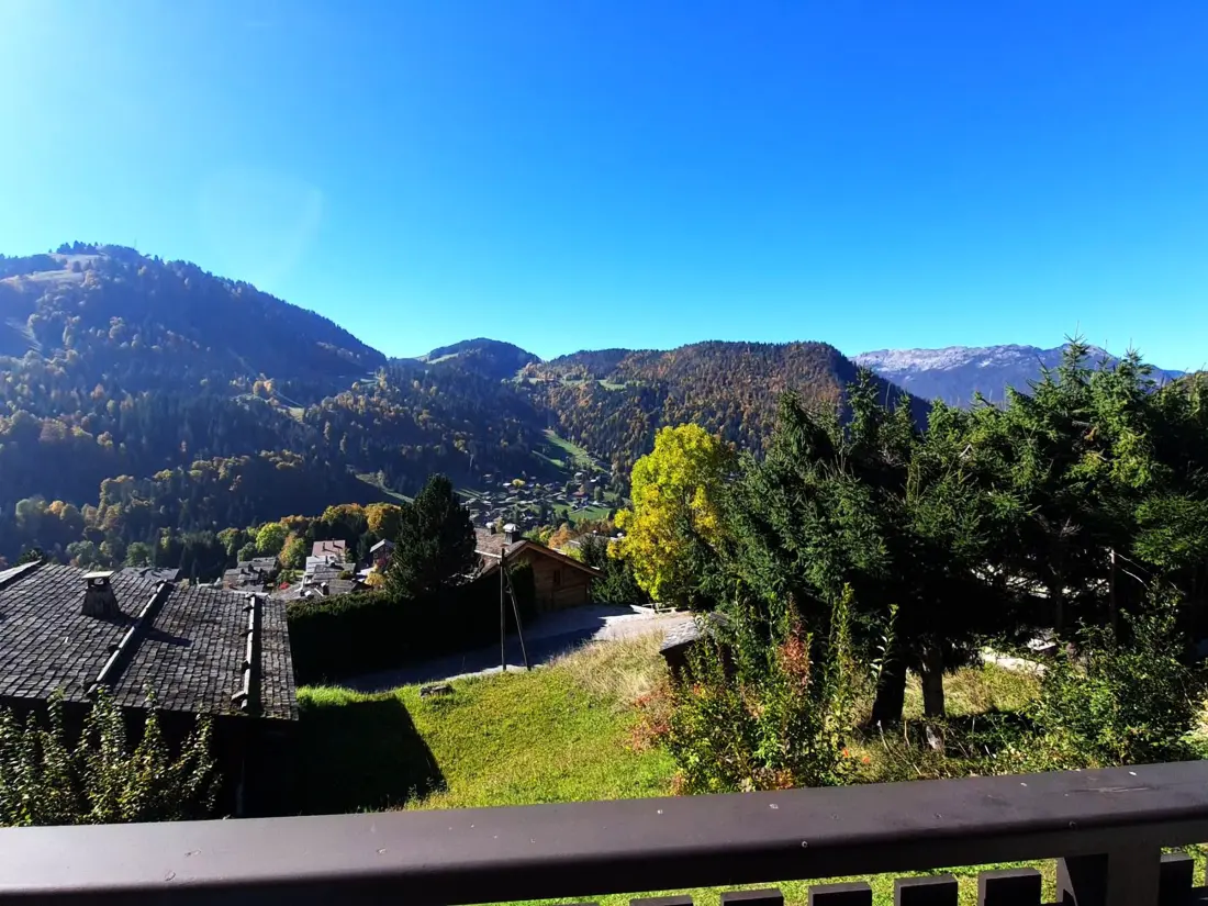 Location de Vacances La Clusaz 359