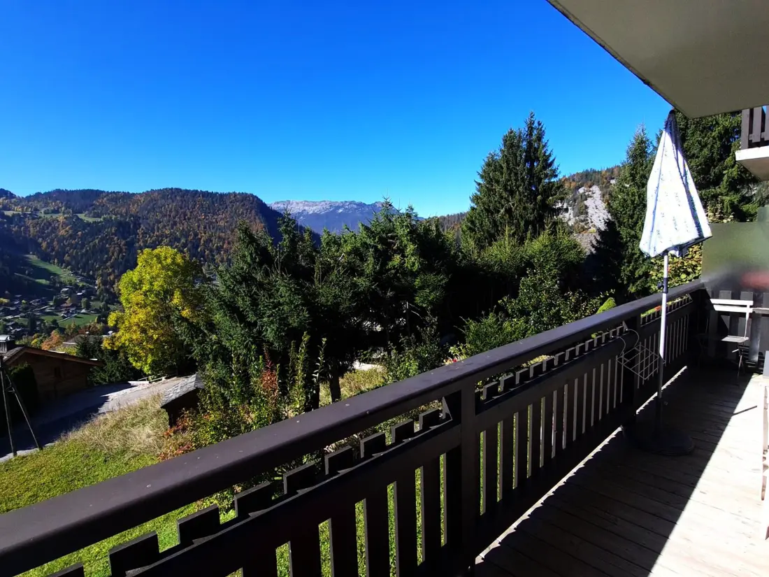 Location de Vacances La Clusaz 359