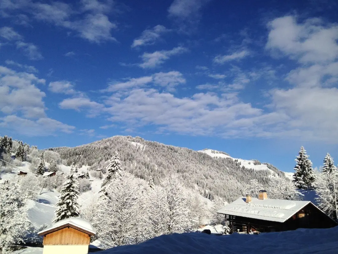 Location de Vacances La Clusaz 431