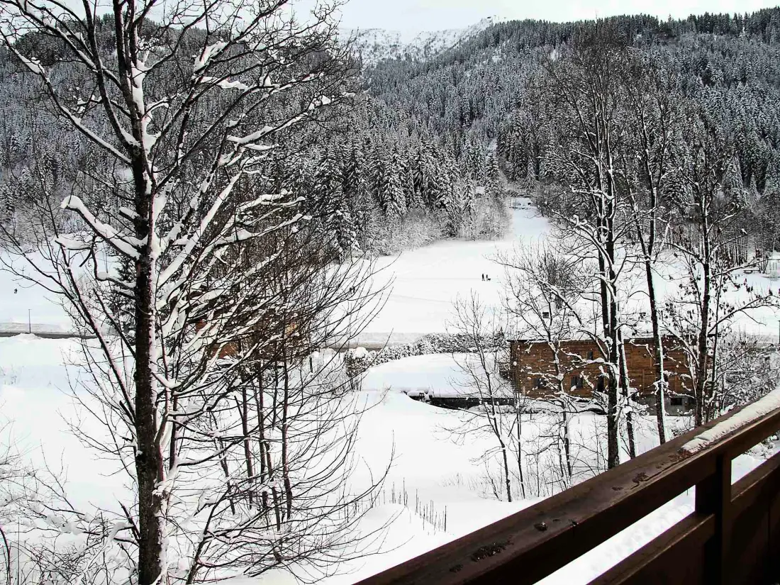 Location de Vacances La Clusaz 439