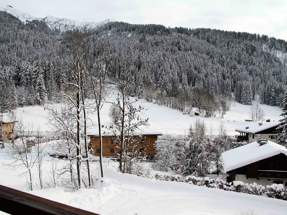 Location de Vacances La Clusaz 439