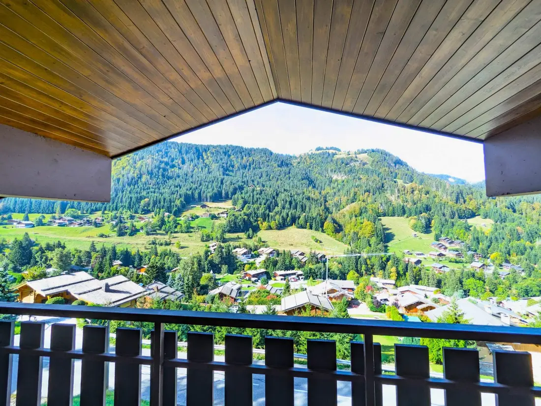 Location de Vacances La Clusaz 443