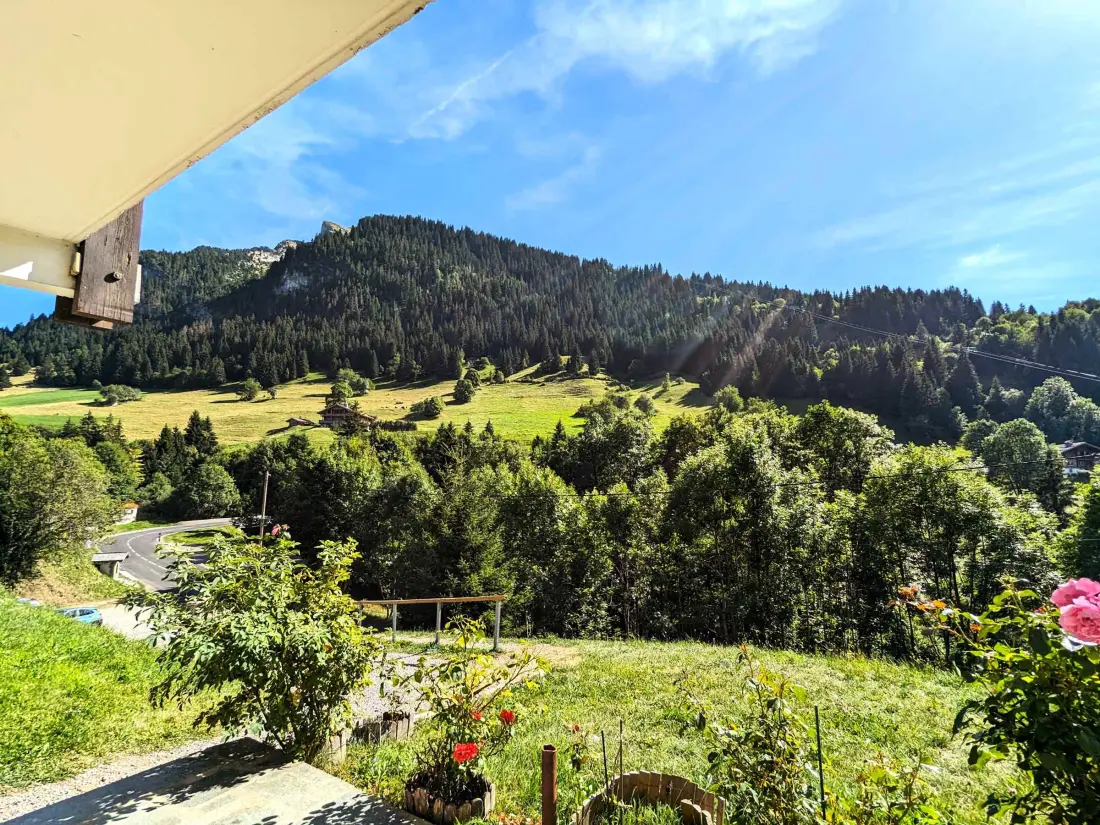 Location de Vacances La Clusaz 446