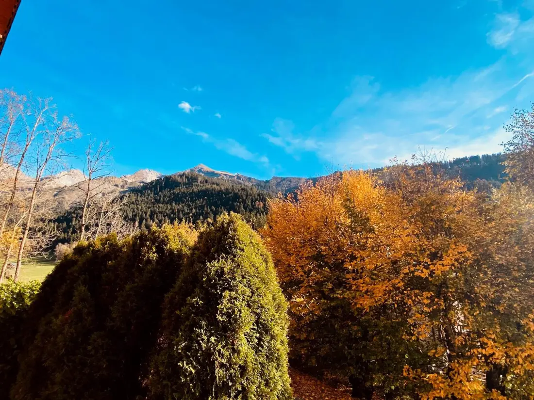Location de Vacances La Clusaz 464