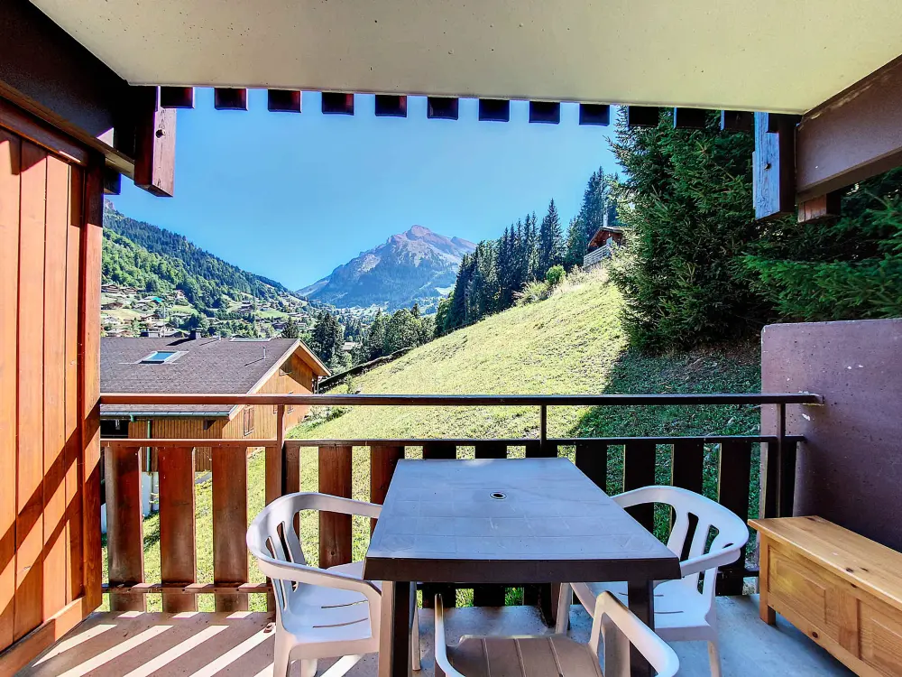 Location de Vacances La Clusaz 479