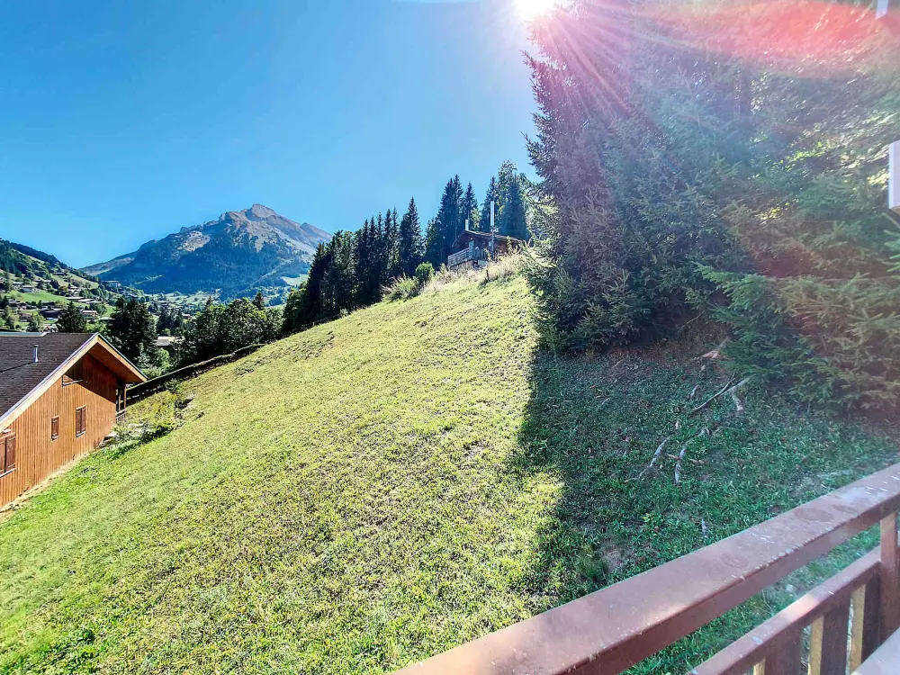 Location de Vacances La Clusaz 479