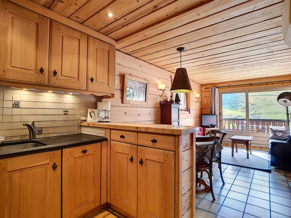 Location de Vacances La Clusaz 490