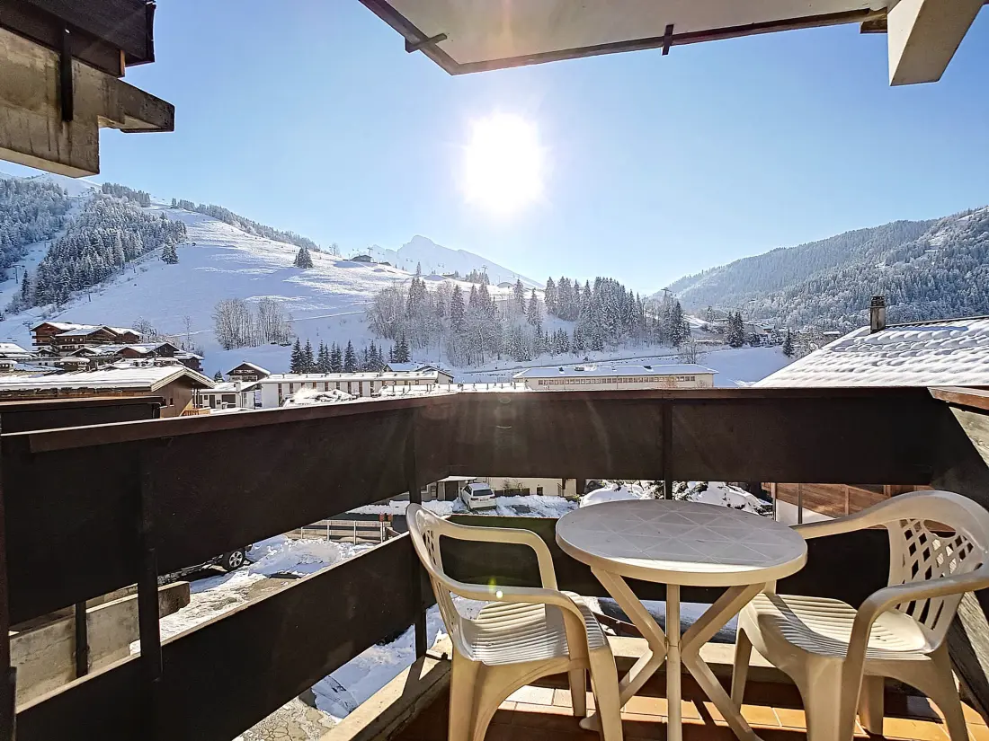 Location de Vacances La Clusaz 493
