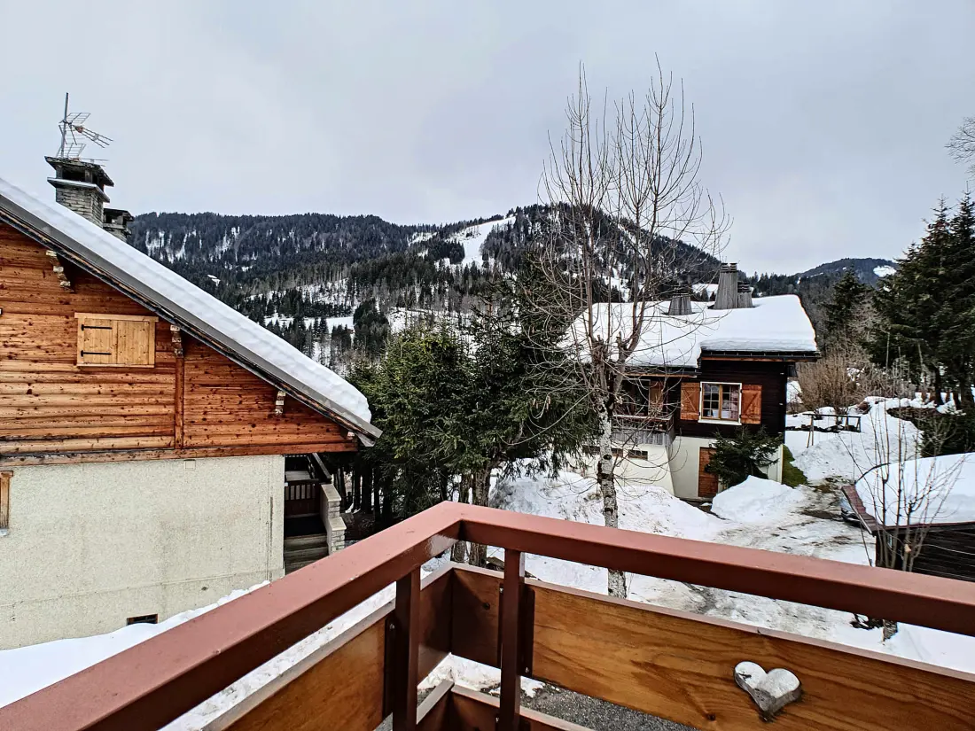 Location de Vacances La Clusaz 498