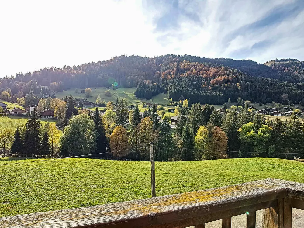 Location de Vacances La Clusaz 502