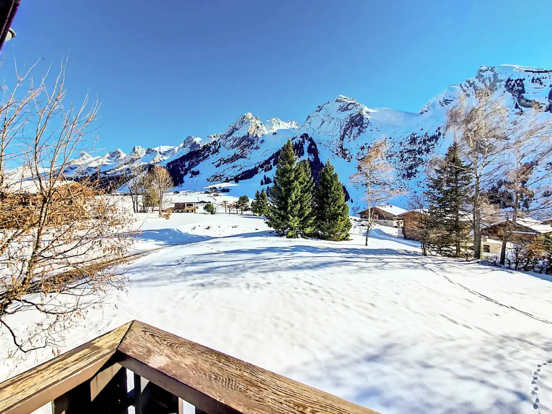 Location de Vacances La Clusaz 515
