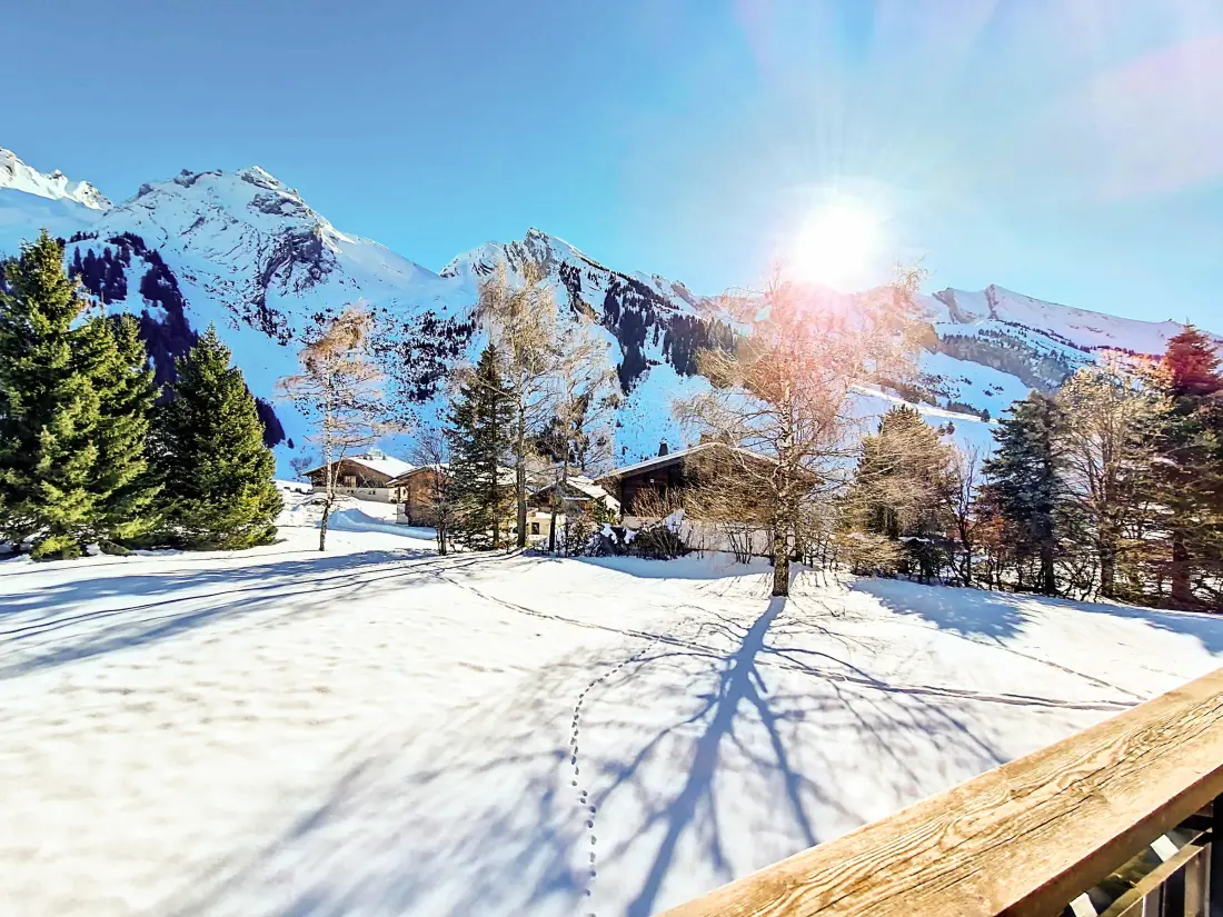 Location de Vacances La Clusaz 515