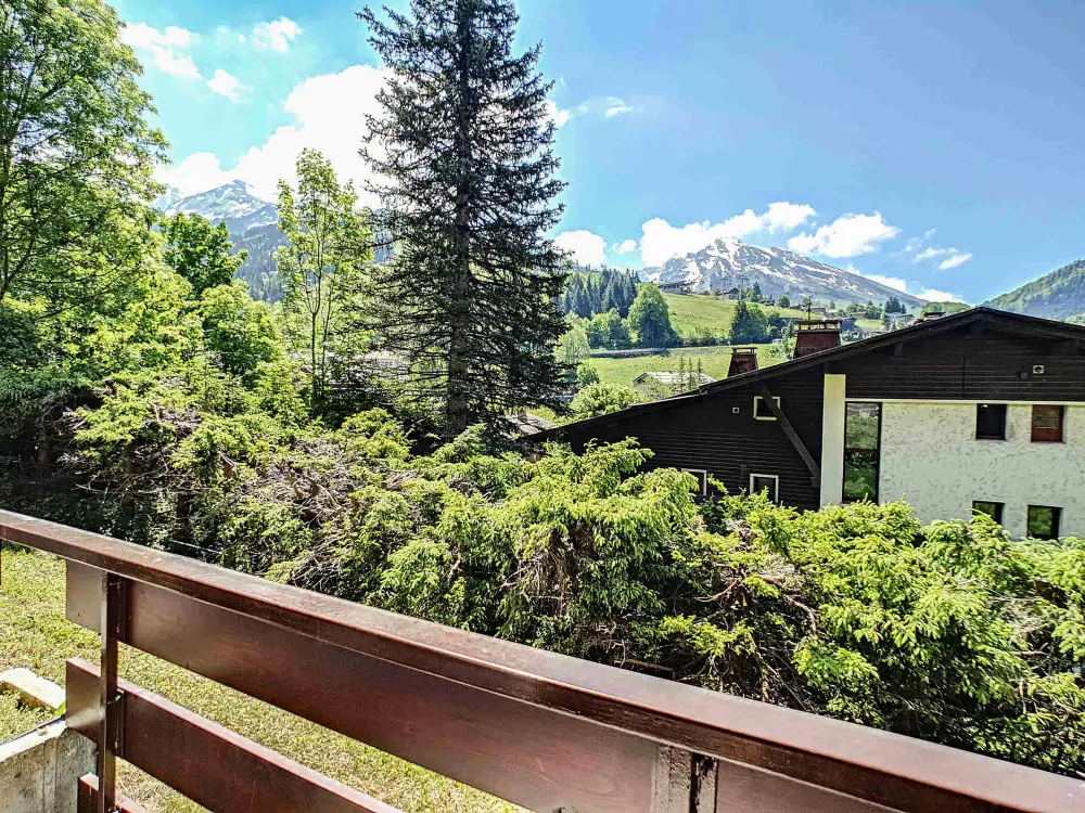 Location de Vacances La Clusaz 517