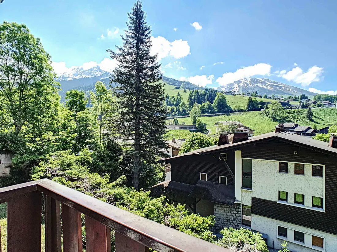 Location de Vacances La Clusaz 519