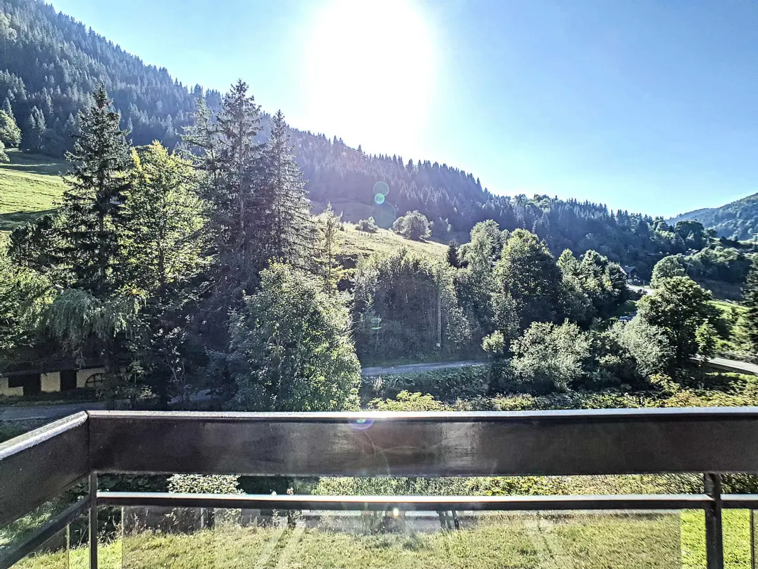 Location de Vacances La Clusaz 520