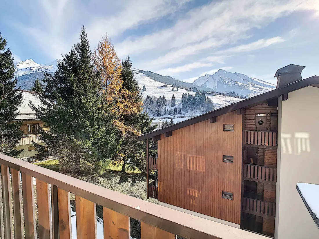 Location de Vacances La Clusaz 528