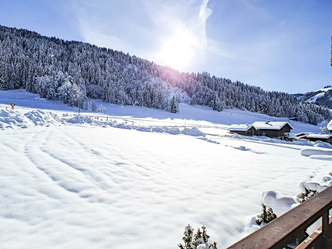 Location de Vacances La Clusaz 529