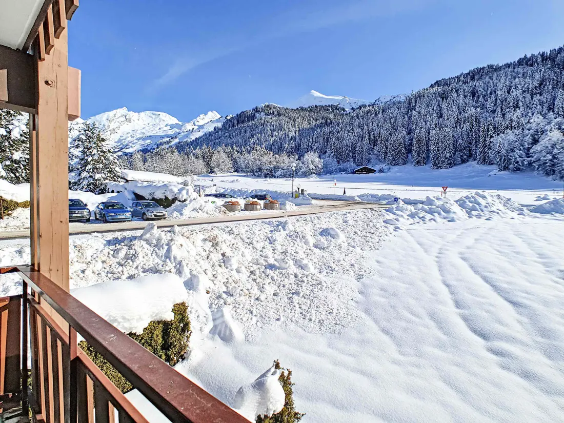 Location de Vacances La Clusaz 529